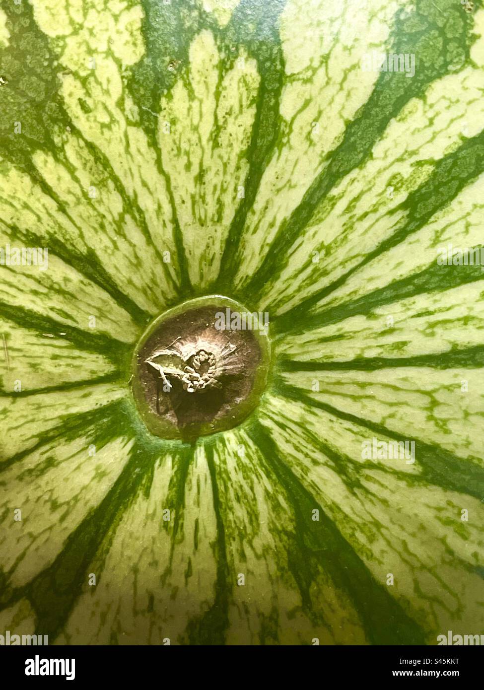Watermelon skin pattern - Smartphone Captured Stock Image