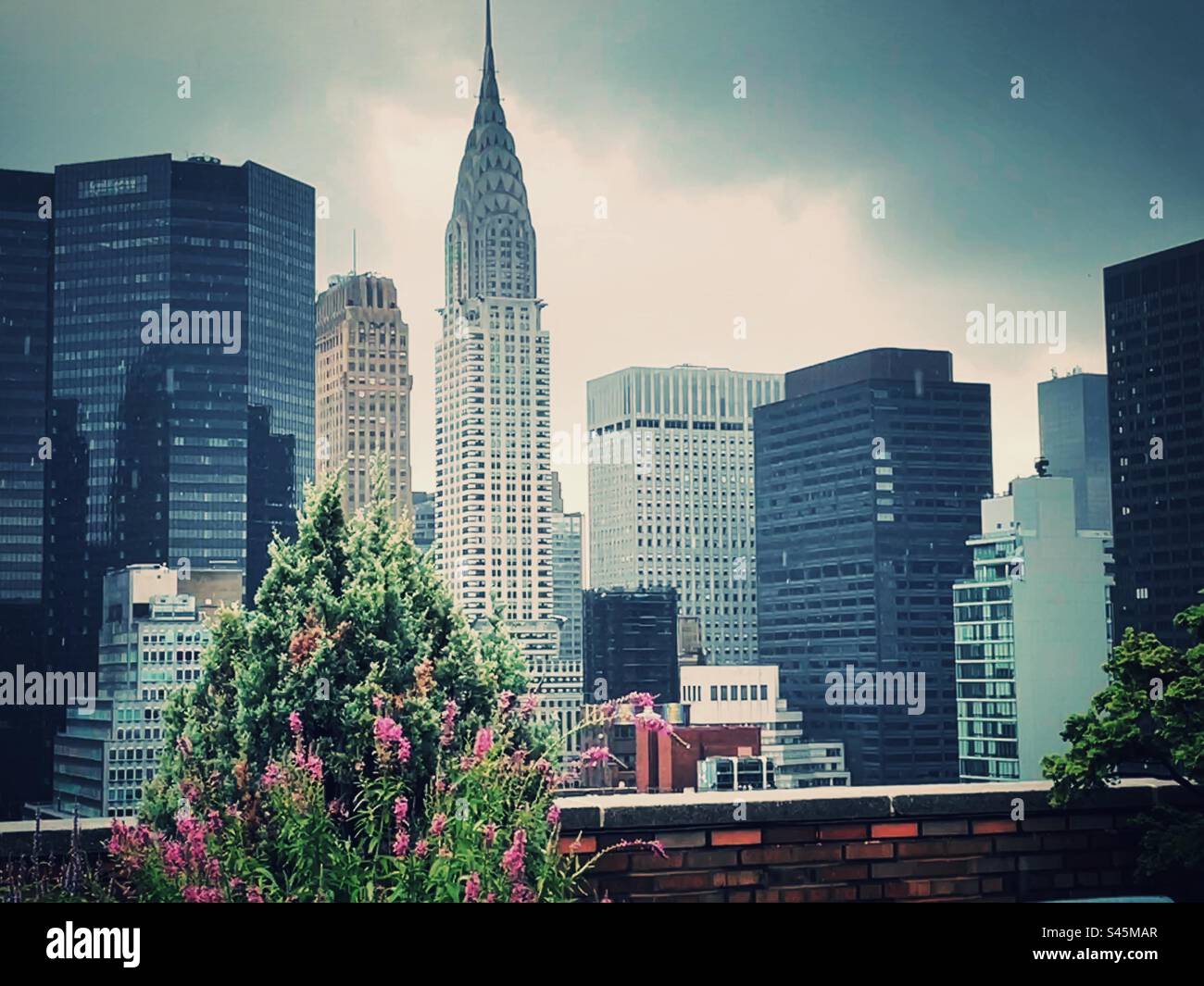 A view of the Chrysler building and other midtown Manhattan skyscrapers