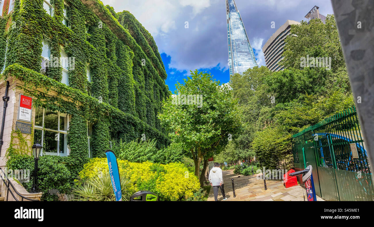 Panorama of Guys Medical School Campus - Smartphone Captured Stock Image