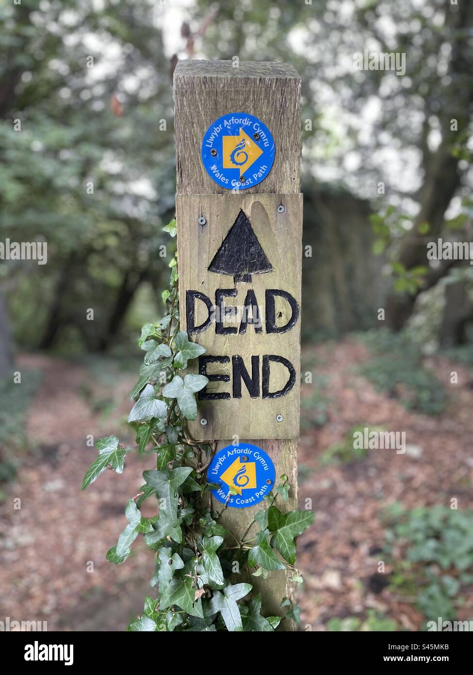 Dead End signpost, Wales Coastal path, South Wales. - Smartphone Captured Stock Image
