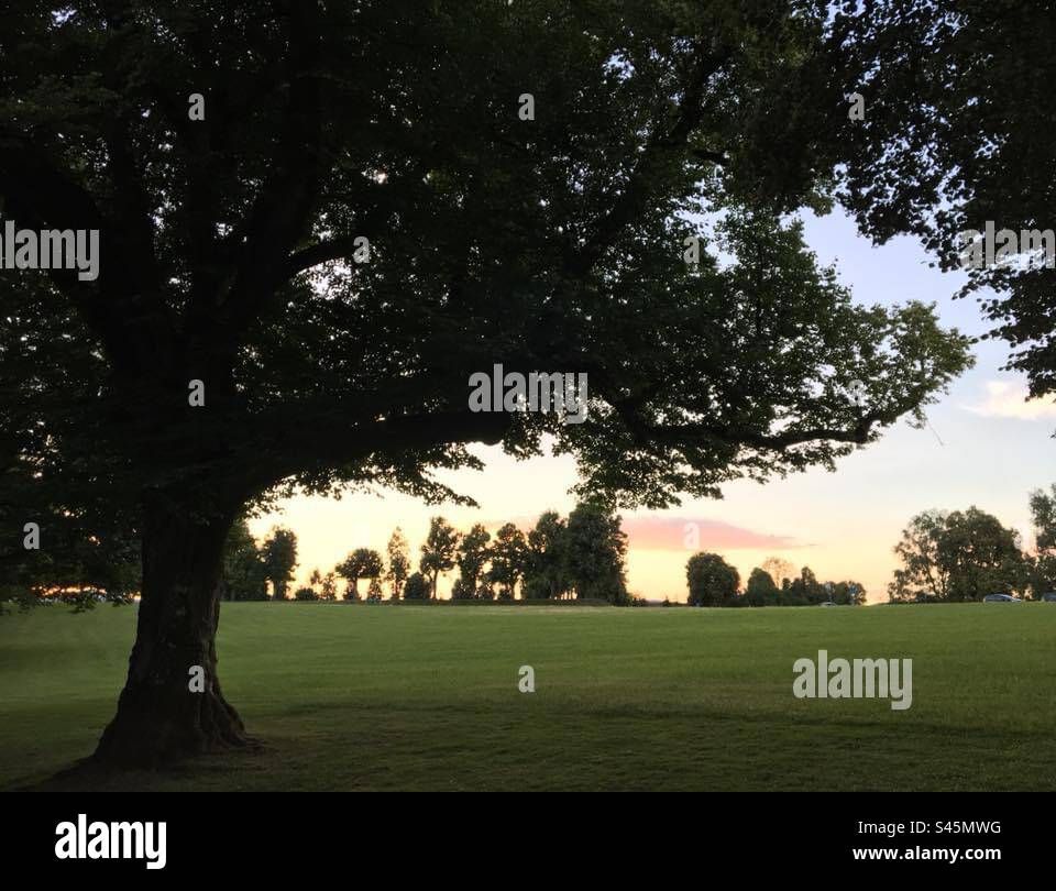 Sunset at Heitere! Zofingen! Switzerland! - Smartphone Captured Stock Image