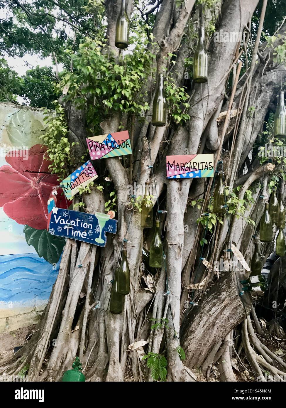 San Andrés Island, Colombia. Tree with cocktail signs Stock Photo