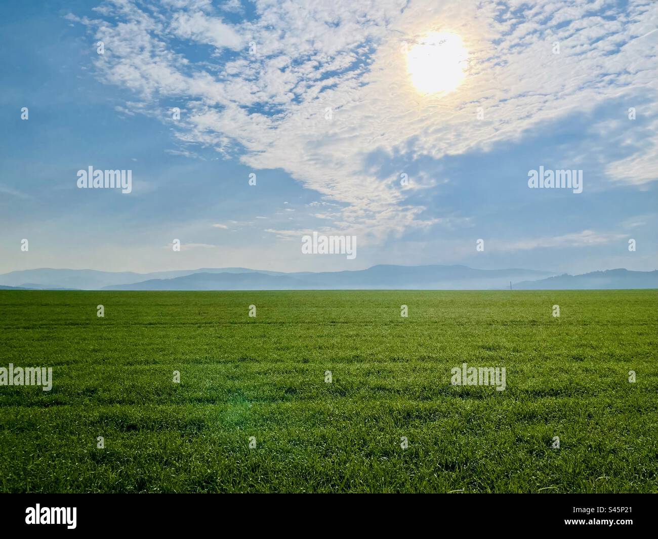 Morning - Smartphone Captured Stock Image