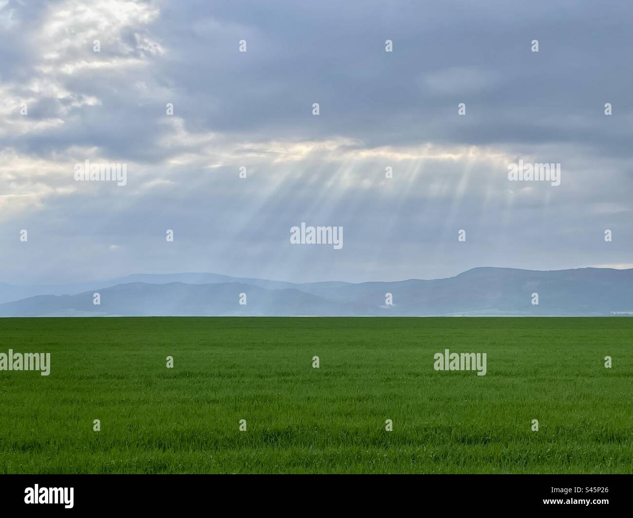 Rays of light - Smartphone Captured Stock Image