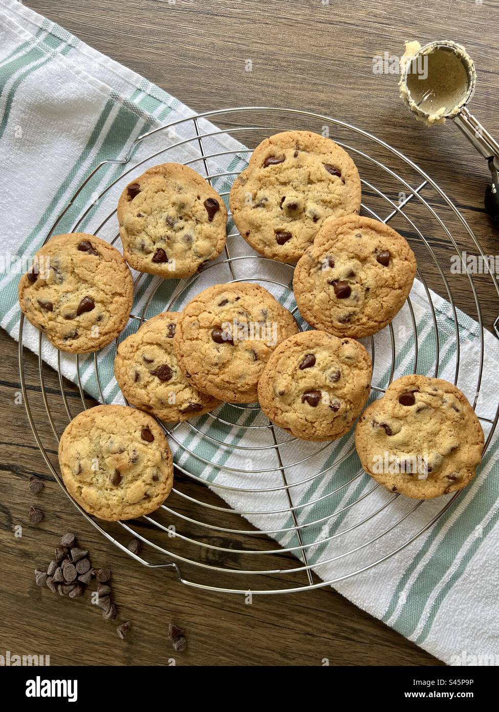 Chocolate chip cookies on a wire cooling rack Stock Photo