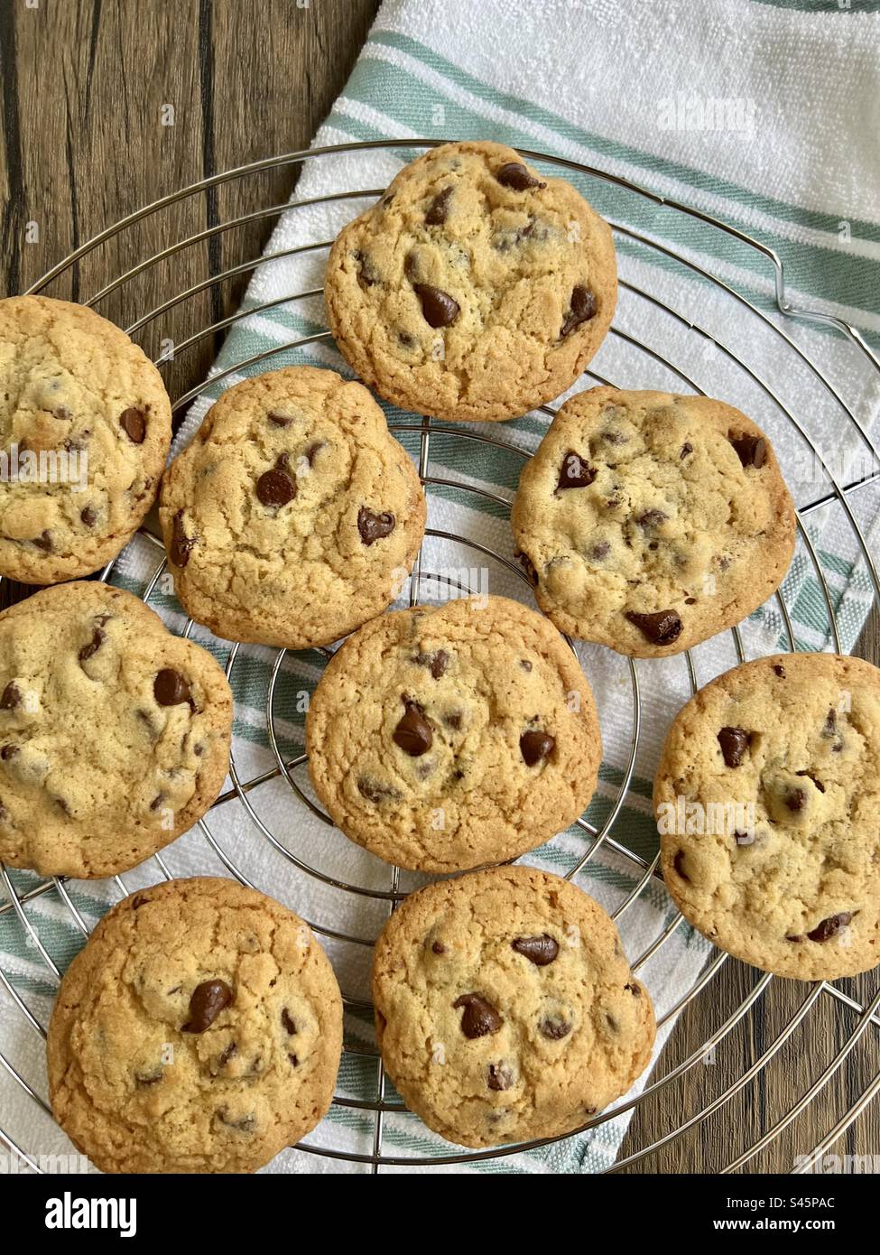 Chocolate chip cookies on a wire rack Stock Photo