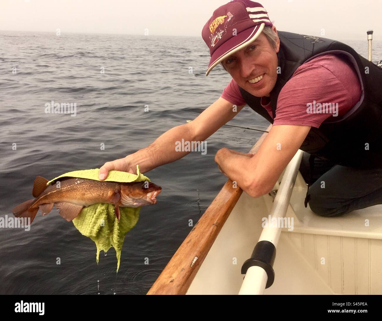 COD, freshly caught, in the Atlantic, Halifax, Nova Scotia, Canada. On the boat. Fisherman. Hobby. Fresh out of water. - Smartphone Captured Stock Image