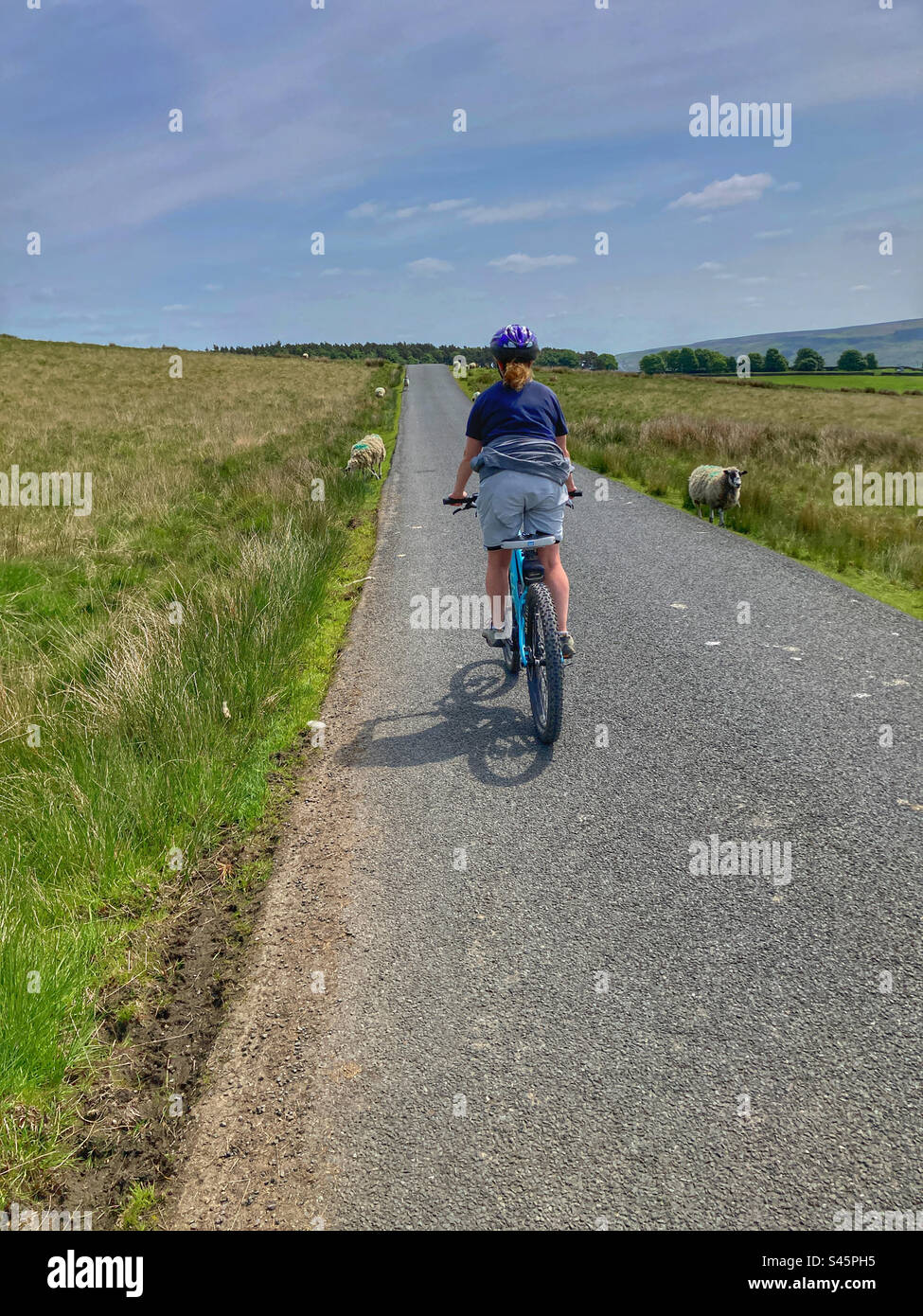 Woman cycling on Langbar Yorkshire - Smartphone Captured Stock Image
