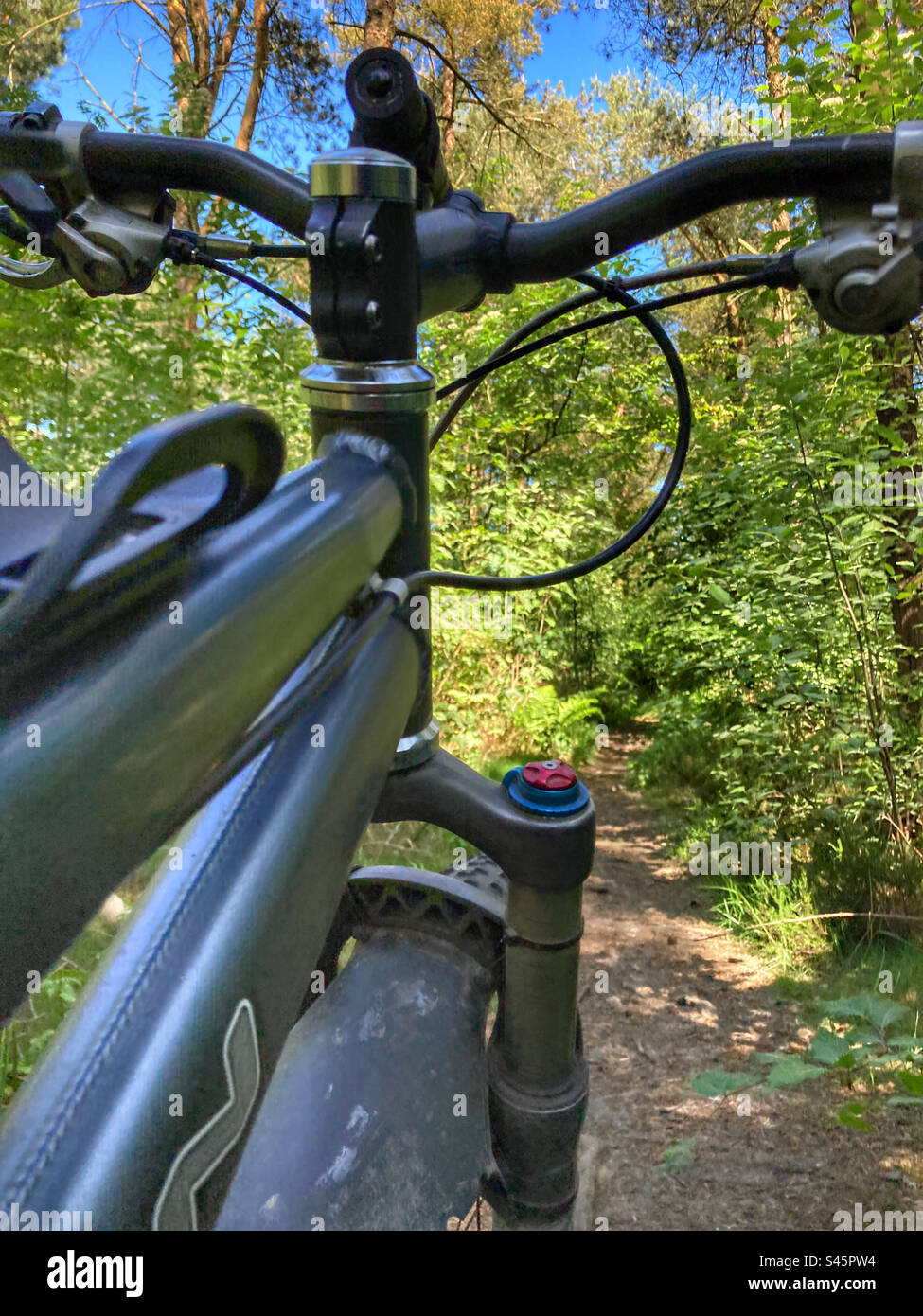 Mountain bike on a single track trail Stock Photo