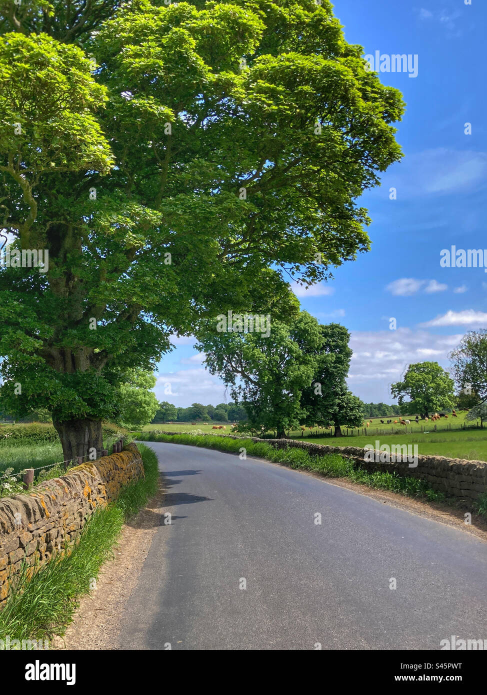 Yorkshire carlton hires stock photography and images Alamy