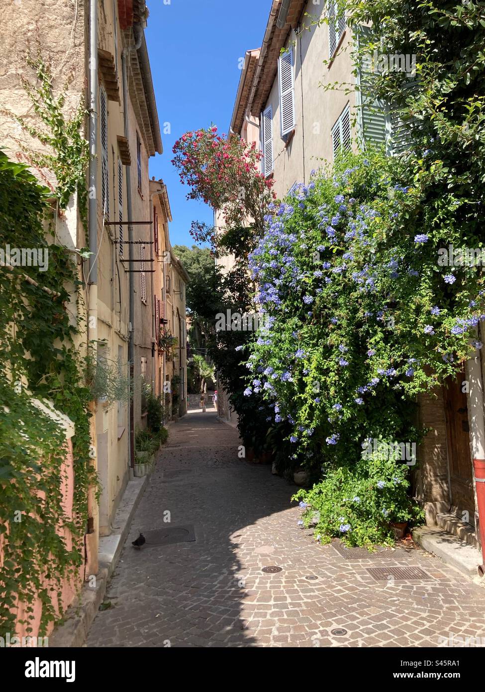 Antibes - Smartphone Captured Stock Image