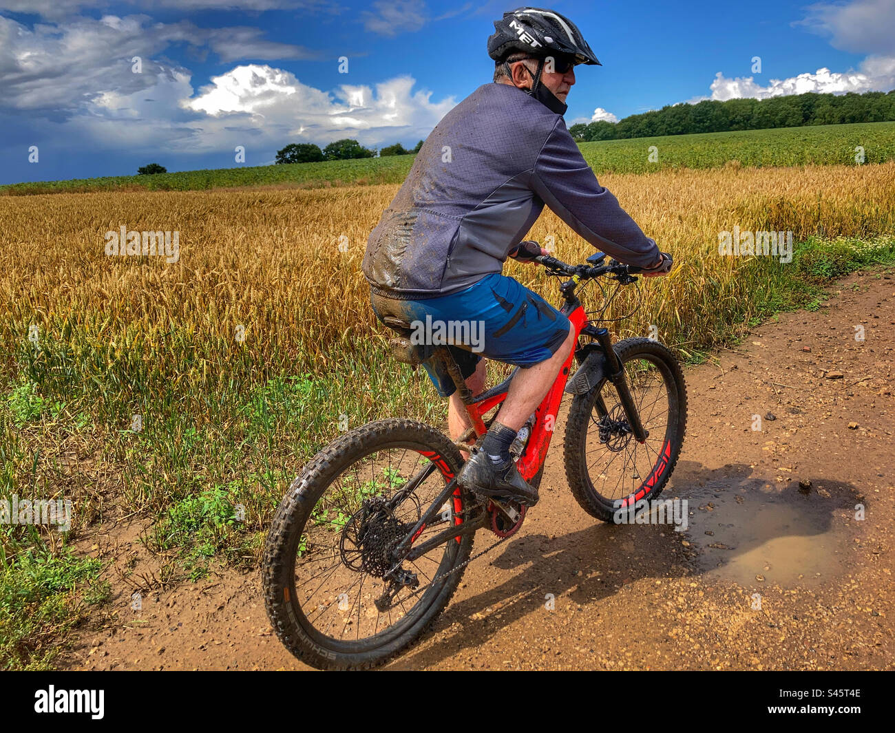 Mountain biker riding across a wheat field in South Yorkshire - Smartphone Captured Stock Image