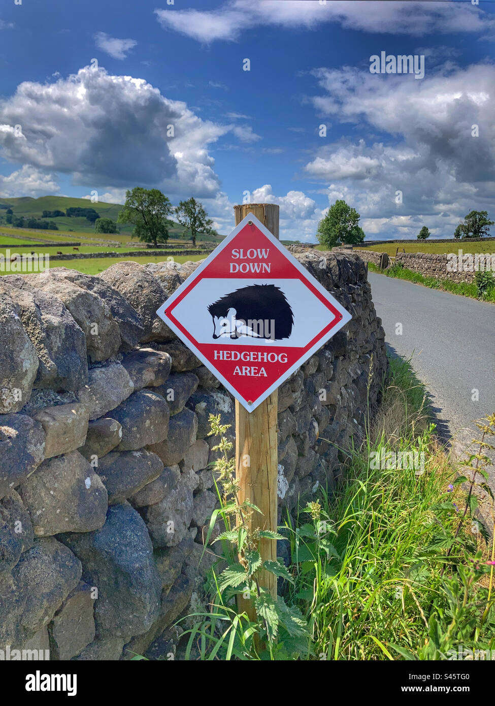 Slow hedgehogs sign hi-res stock photography and images - Alamy