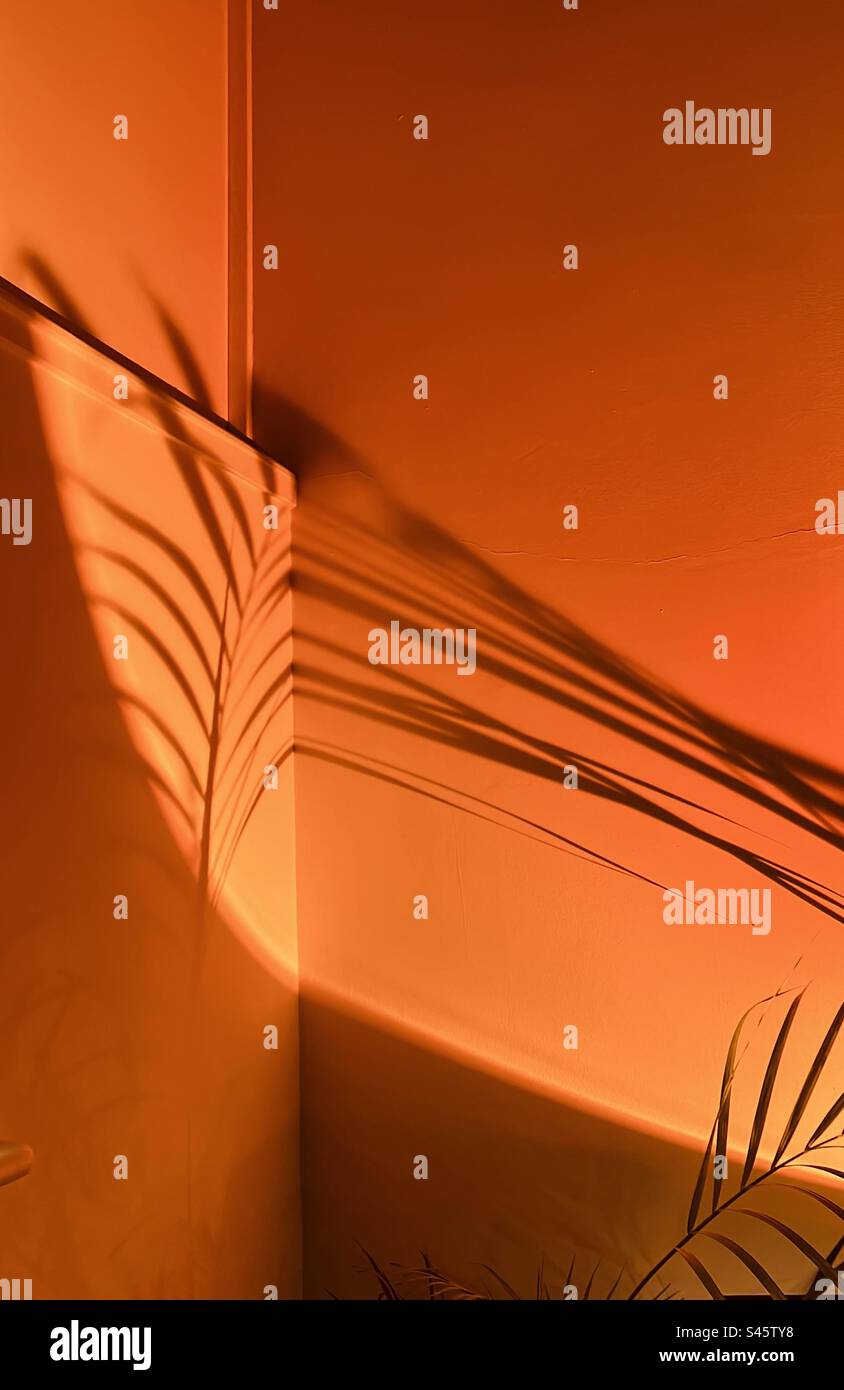 Exotic circular vibe from my orange light and palm’s shadow on the wall in my flat in Notting Hill, London, UK - Smartphone Captured Stock Image