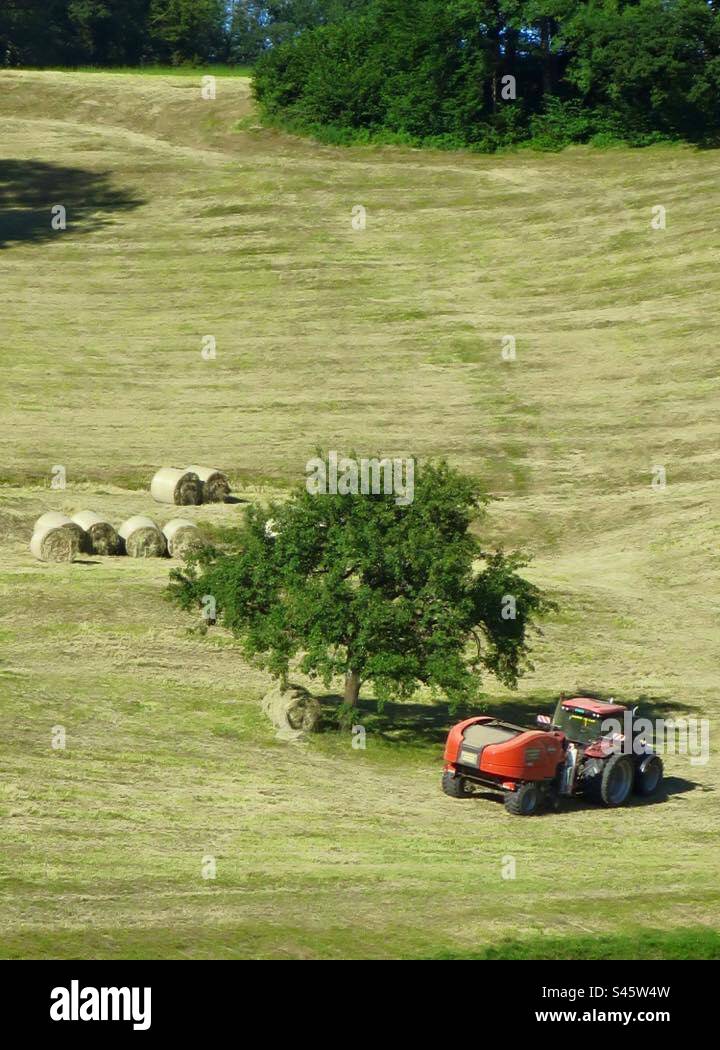 Farming! Switzerland! - Smartphone Captured Stock Image