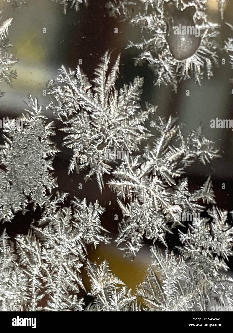 Snowflakes up close hi-res stock photography and images - Alamy