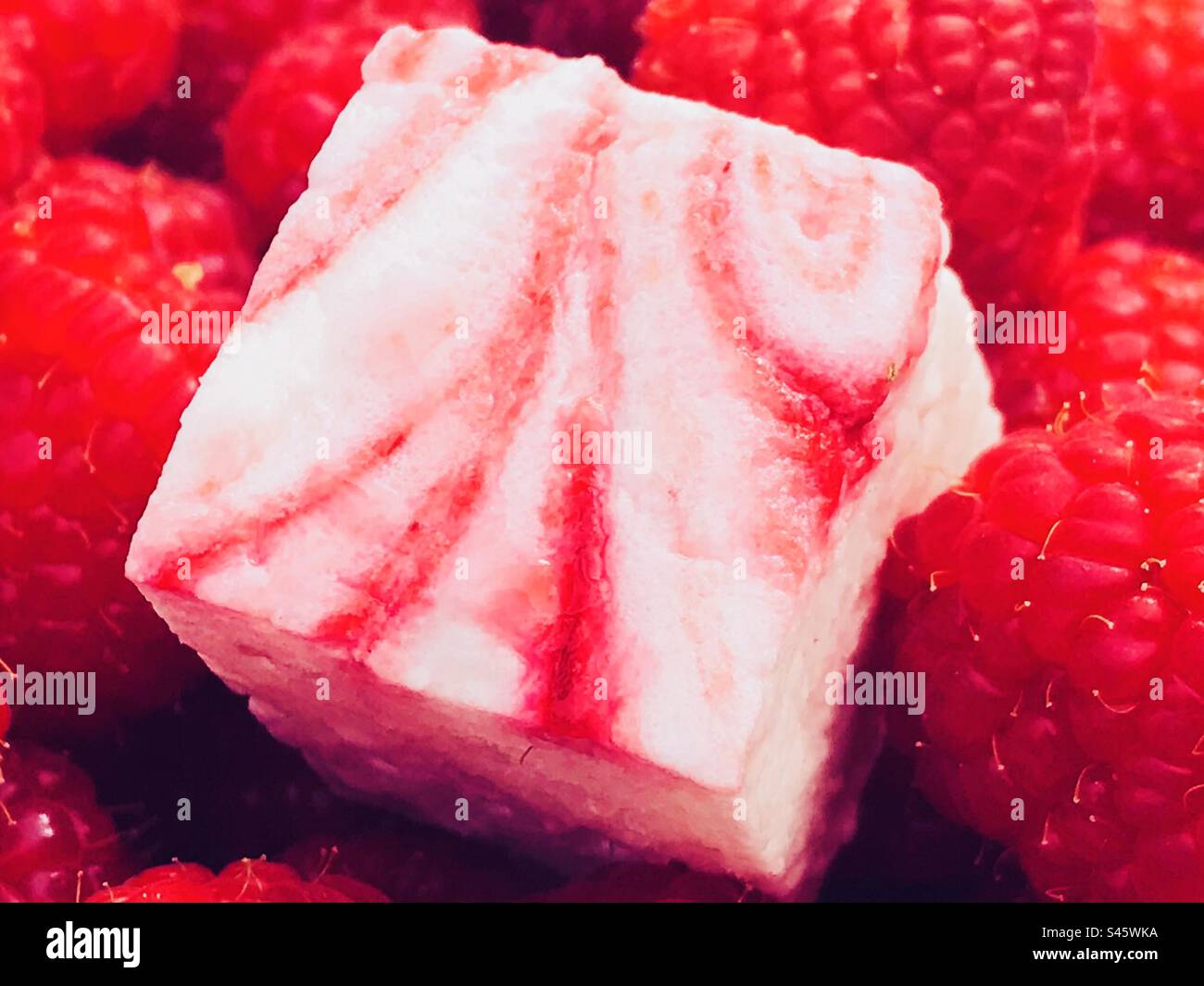 Raspberry Marshmallow with a background of raspberries - Smartphone Captured Stock Image