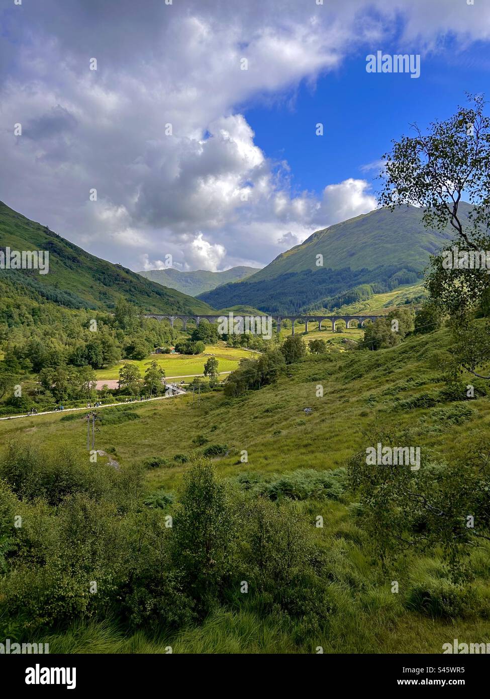 Glenfinnan Viaduct, Highland, Scotland Stock Photo Alamy