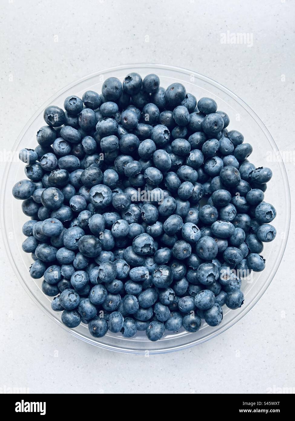 Dish of fresh blueberries. Stock Photo