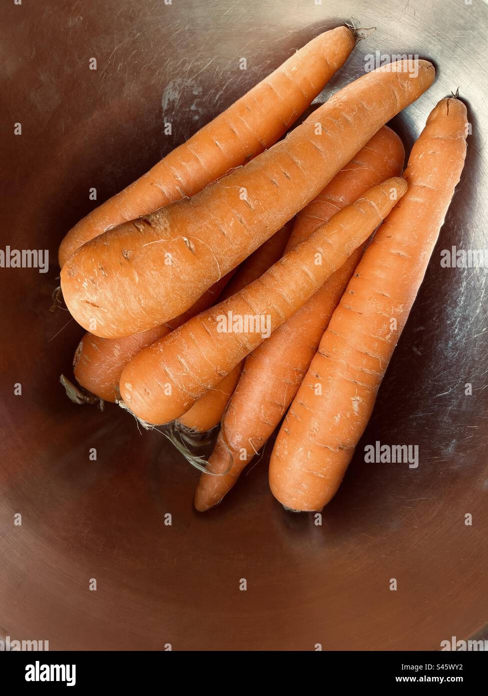Fresh Carrots in a stainless steel bowl. - Smartphone Captured Stock Image