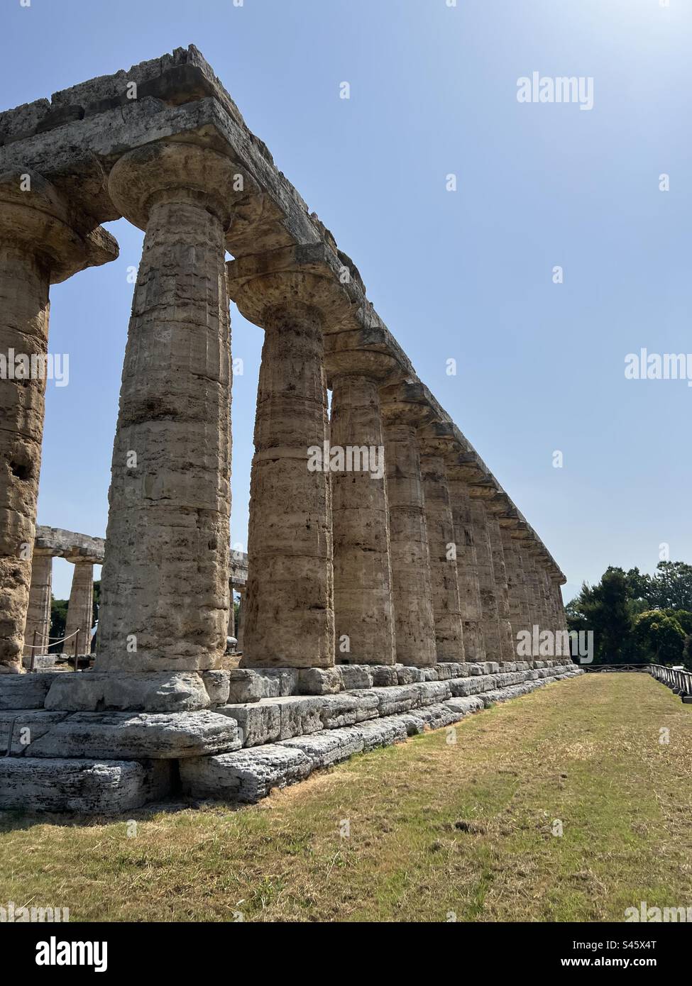 paestum, greek temples, italy Stock Photo Alamy