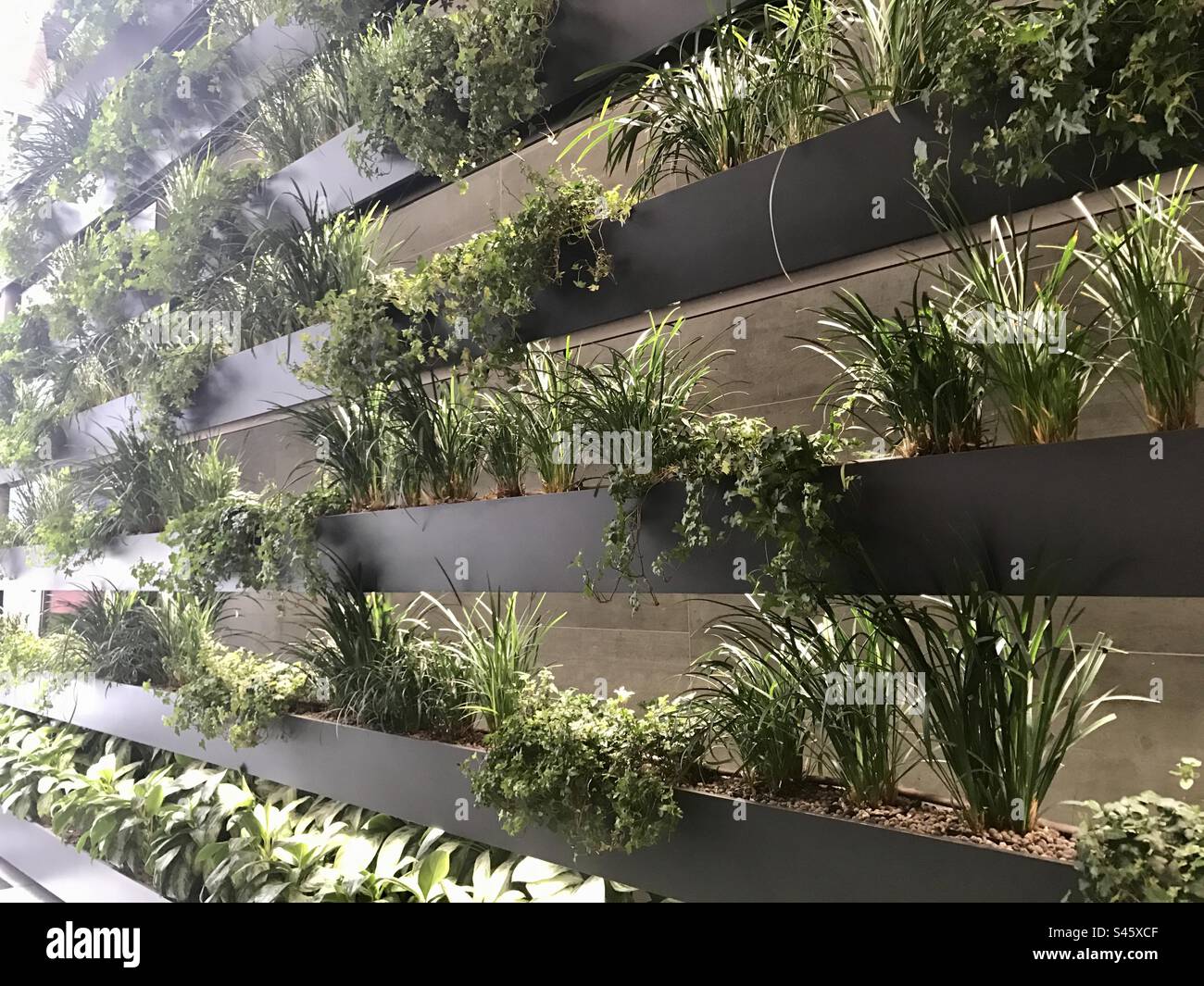 Indoor garden wall hi-res stock photography and images - Alamy