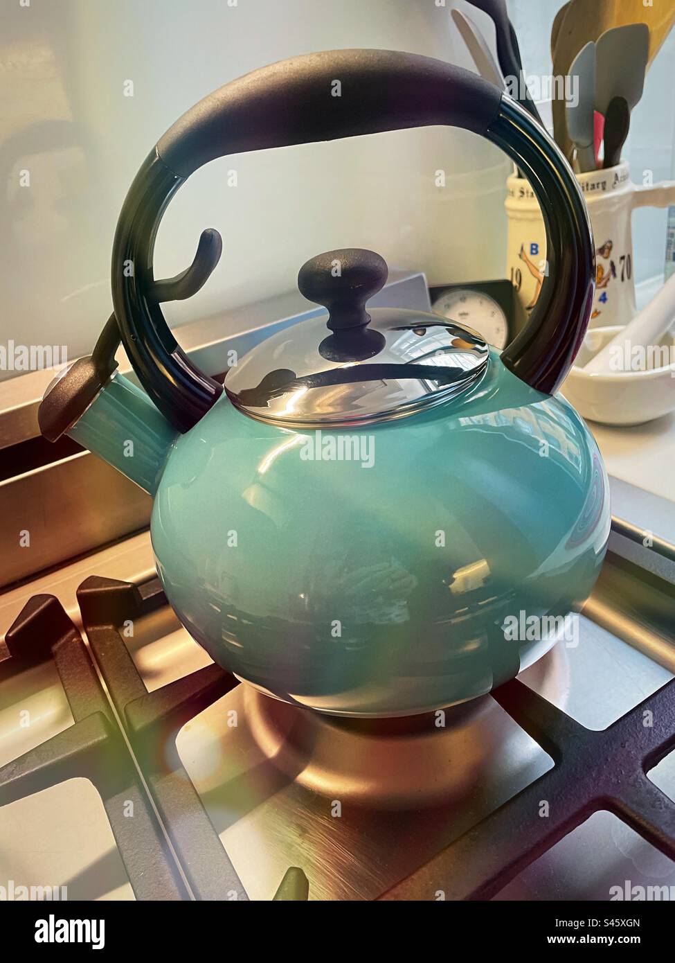 Blue robins egg hires stock photography and images Alamy