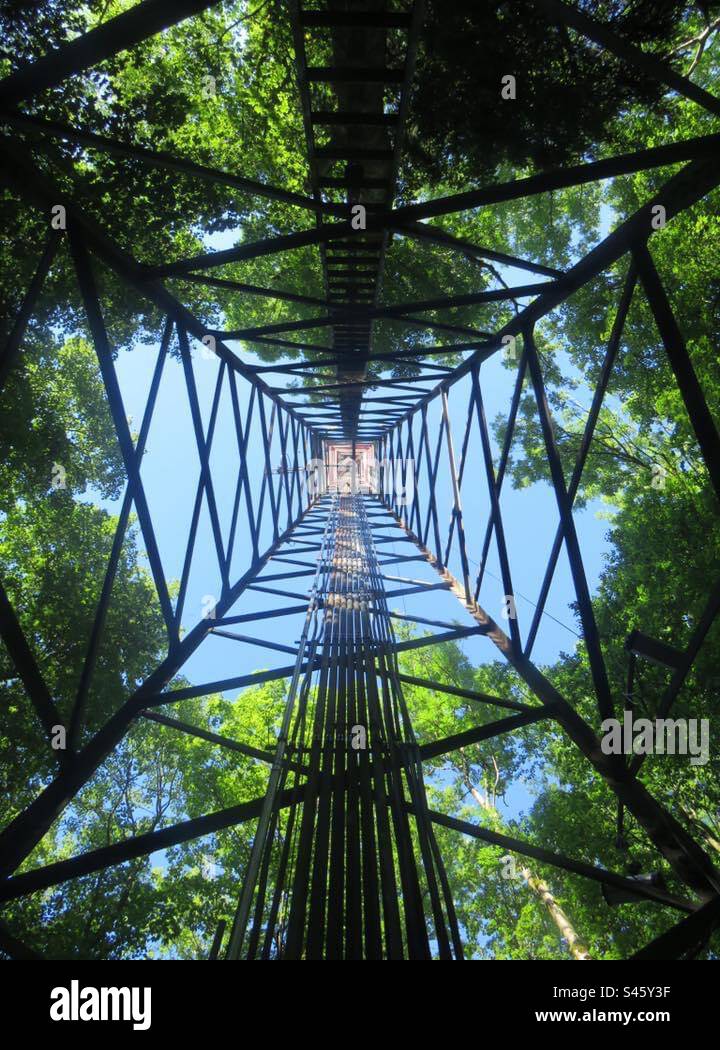 Antenna from Below! Safenwil! Switzerland! - Smartphone Captured Stock Image
