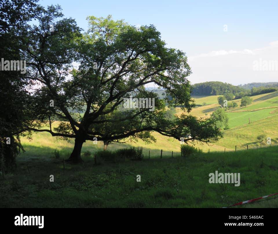 Swiss Landscape - Smartphone Captured Stock Image