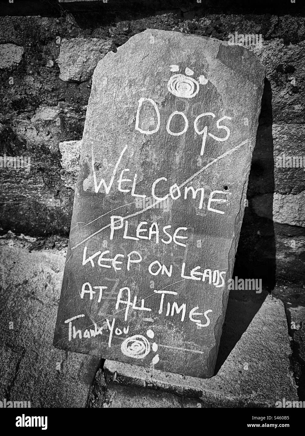 ‘Dogs Welcome’ a handwritten sign invites dogs and their owners inside… as long as they are on a lead at all times. (Black & White) Stock Photo