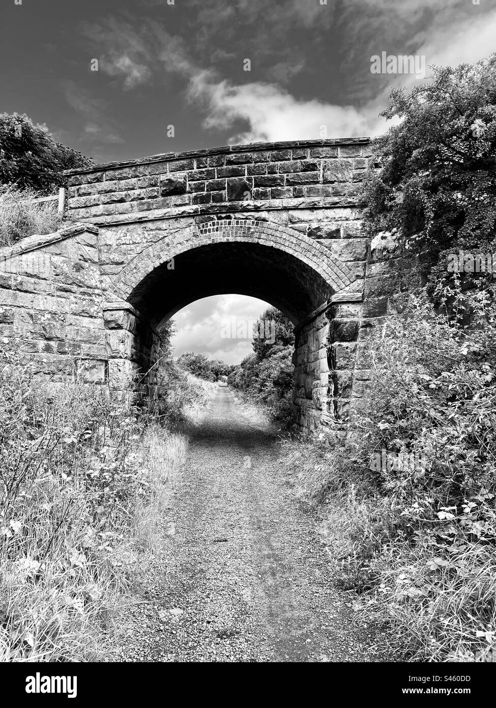 Route of the railway between Ravenscar and Hayburn Wyke - Smartphone Captured Stock Image