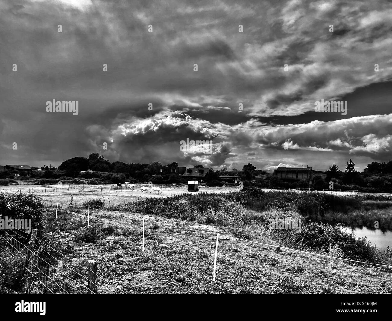 Winchelsea Beach farmland Stock Photo Alamy