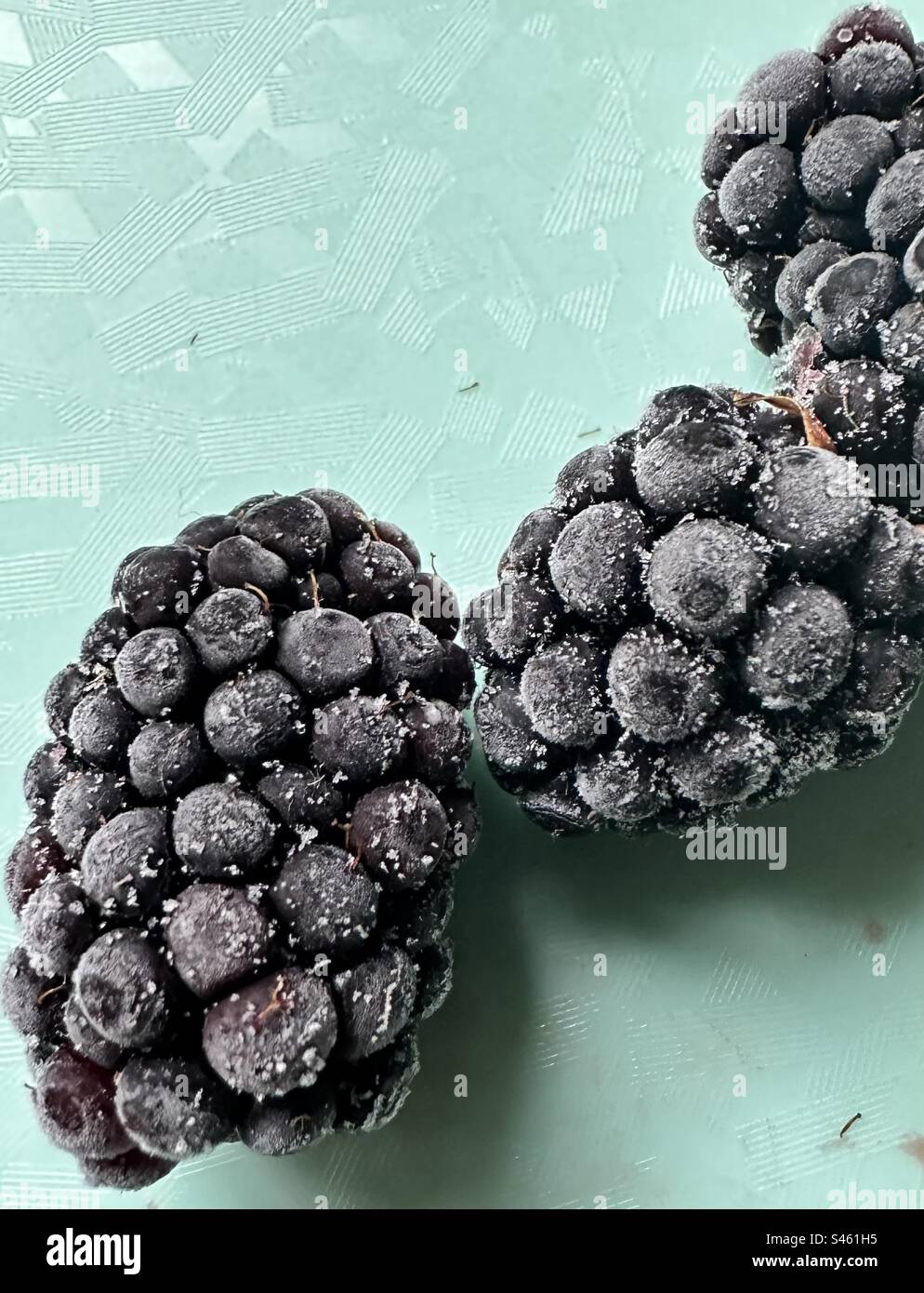 Blackberry Frozen Stock Photo
