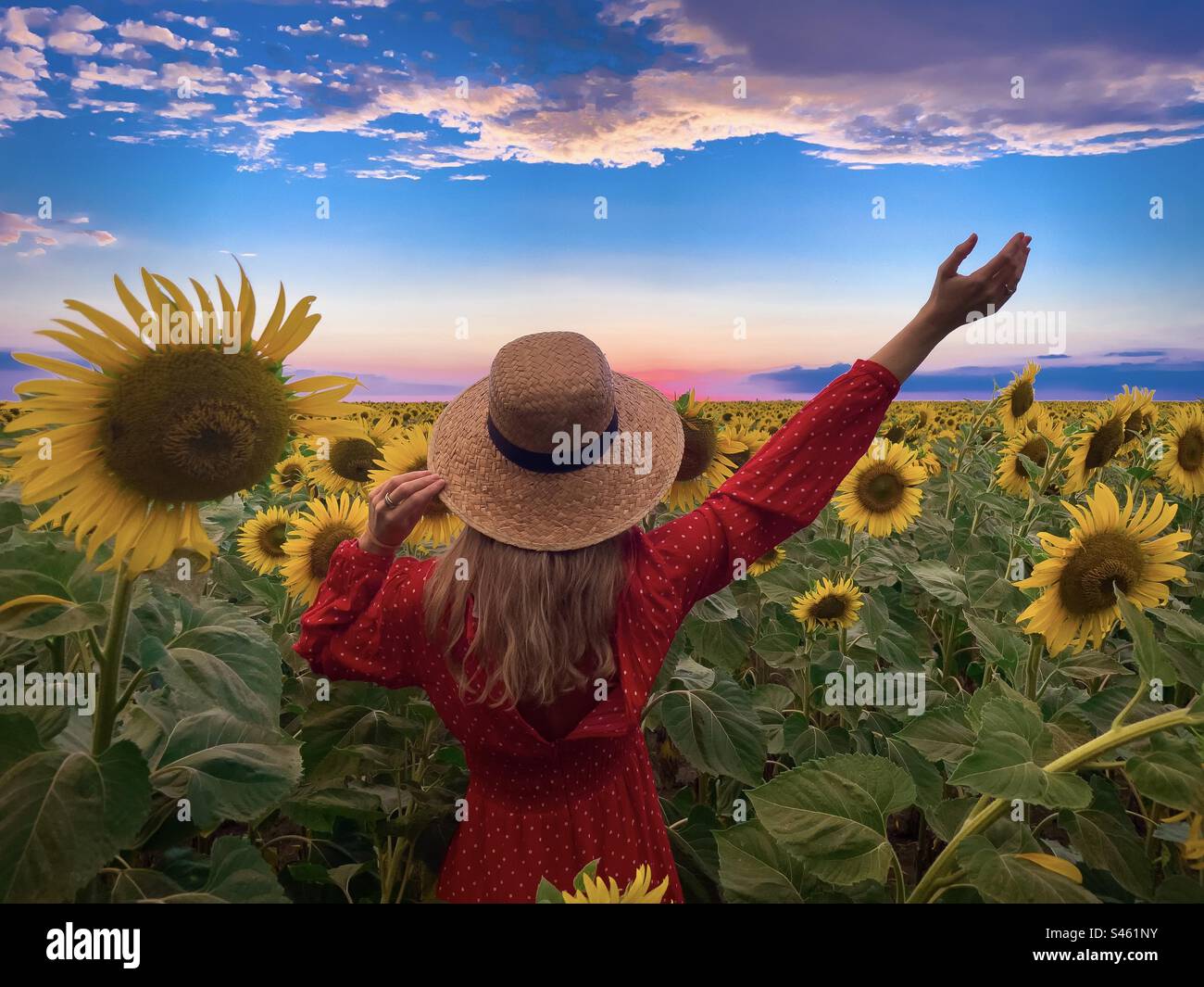 Rear view of woman wearing summer dress and hat being happy in a field of blooming sunflowers Stock Photo