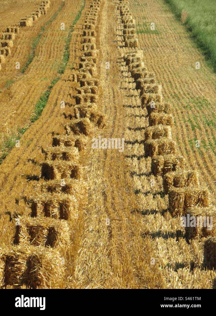Straw Bales! Switzerland! - Smartphone Captured Stock Image