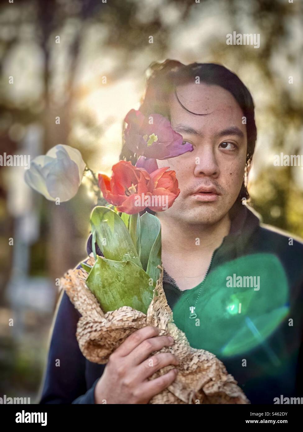 Portrait of young Asian man holding four multicolored tulip flowers against setting sun and trees with lens flare. Spring theme. Focus on foreground. - Smartphone Captured Stock Image