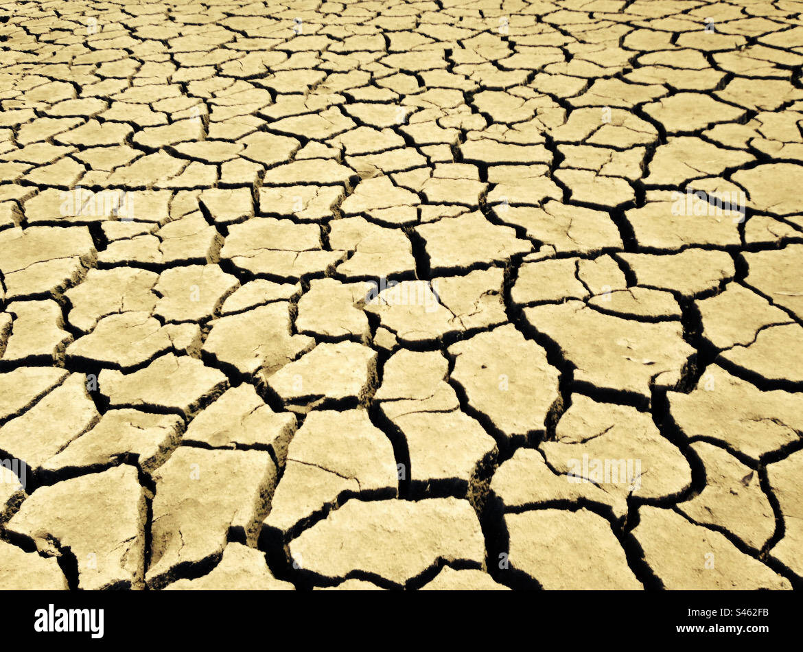 River bed cracked and dry Stock Photo Alamy