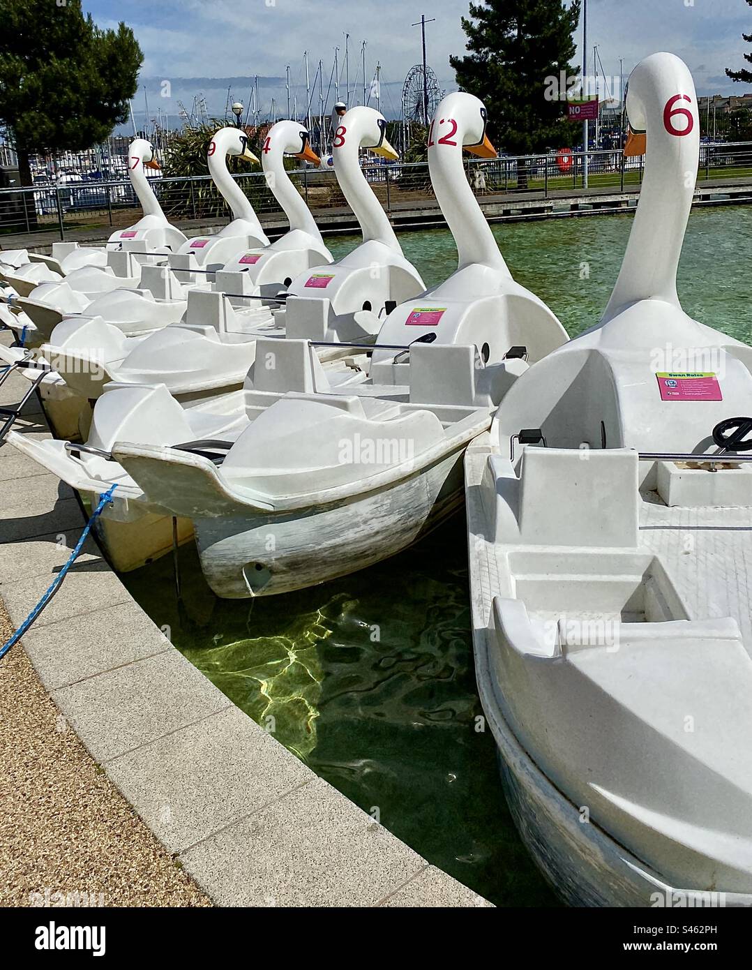 Children’s boats in the form of swans at Bangor, Co. Down, Northern Ireland. Bangor is a popular holiday area with many children’s activities in the Pickie Fun Park near to the marina. Stock Photo