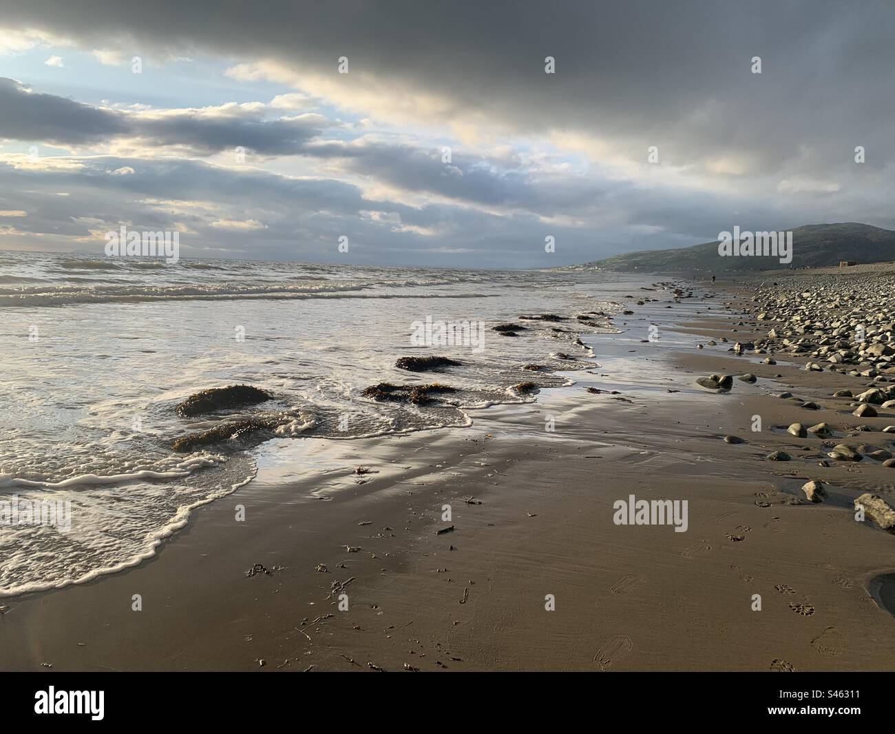 Evening shore, calming water, seaweed washing ashore - Smartphone Captured Stock Image