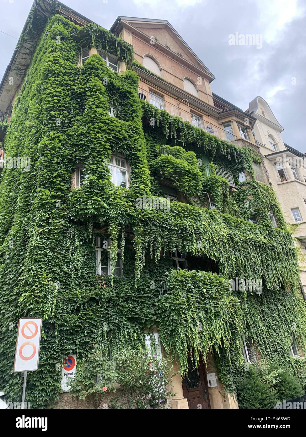 Bushy house with overgrown plants in Switzerland Stock Photo