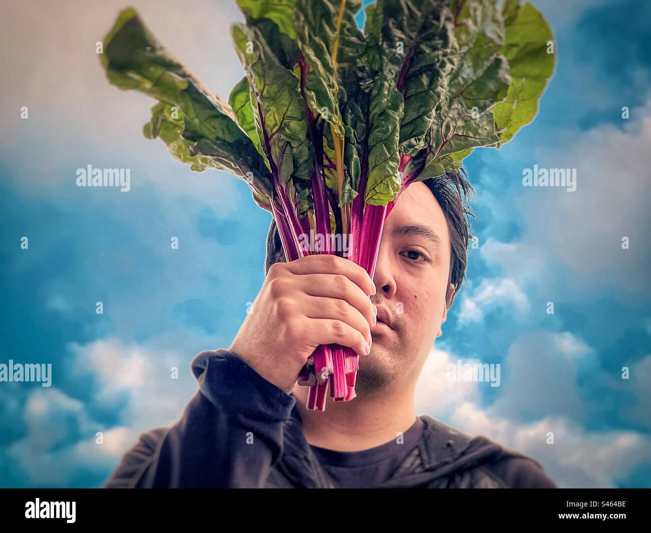 Portrait of young Asian man holding a bunch of silverbeet against blue sky and white clouds. - Smartphone Captured Stock Image