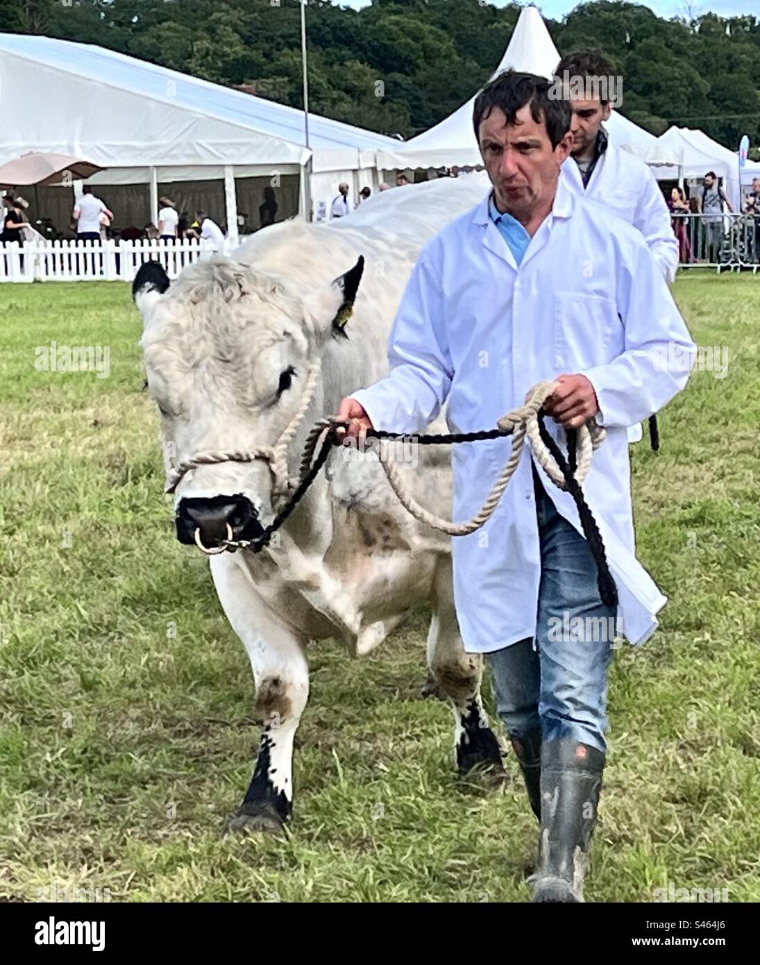 Grand parade at south glos show 2023 - Smartphone Captured Stock Image
