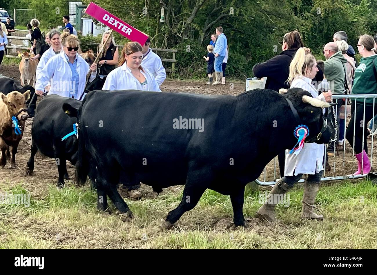 Grand parade at south glos show 2023 Stock Photo Alamy