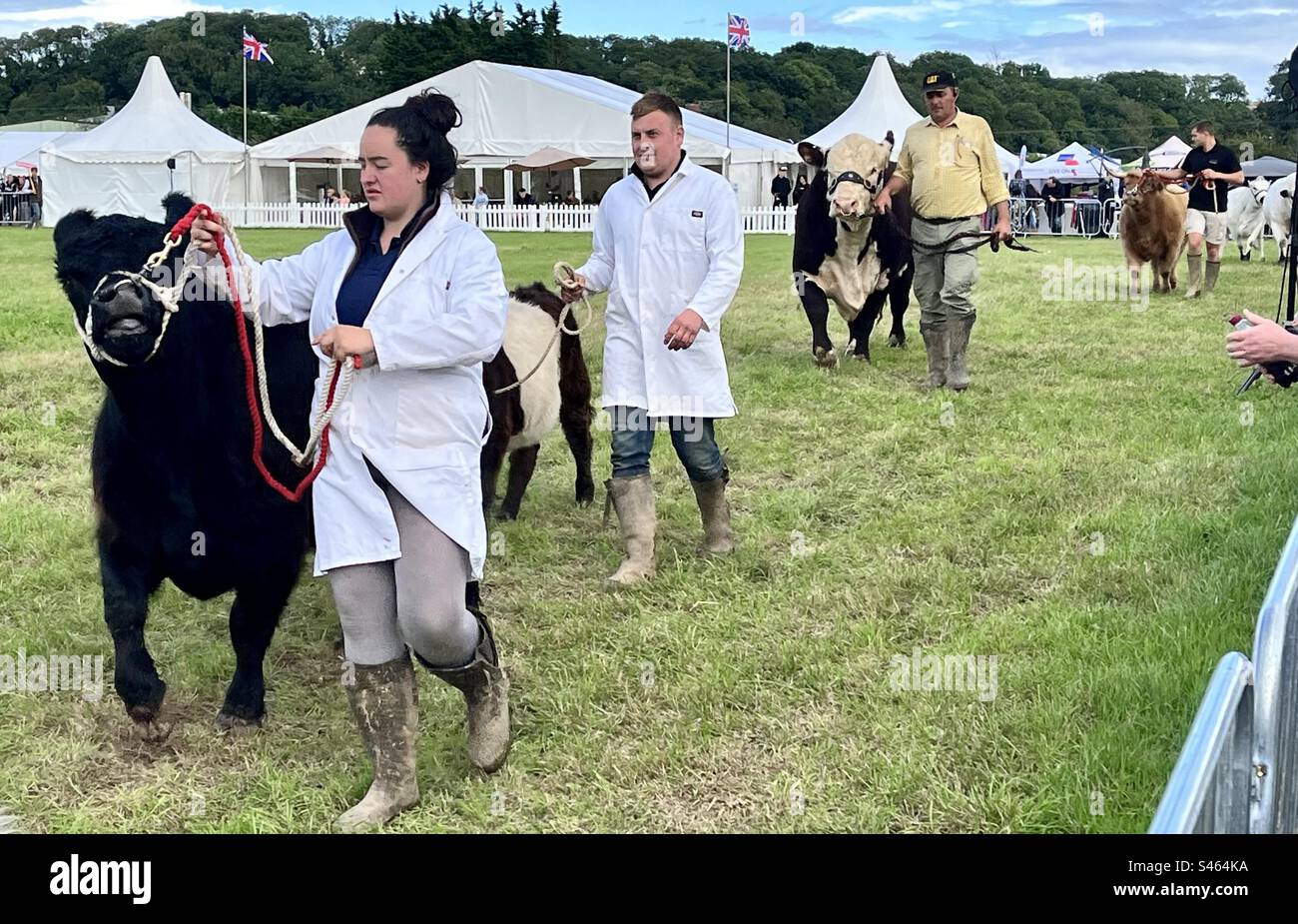 Grand parade at south glos show 2023 - Smartphone Captured Stock Image