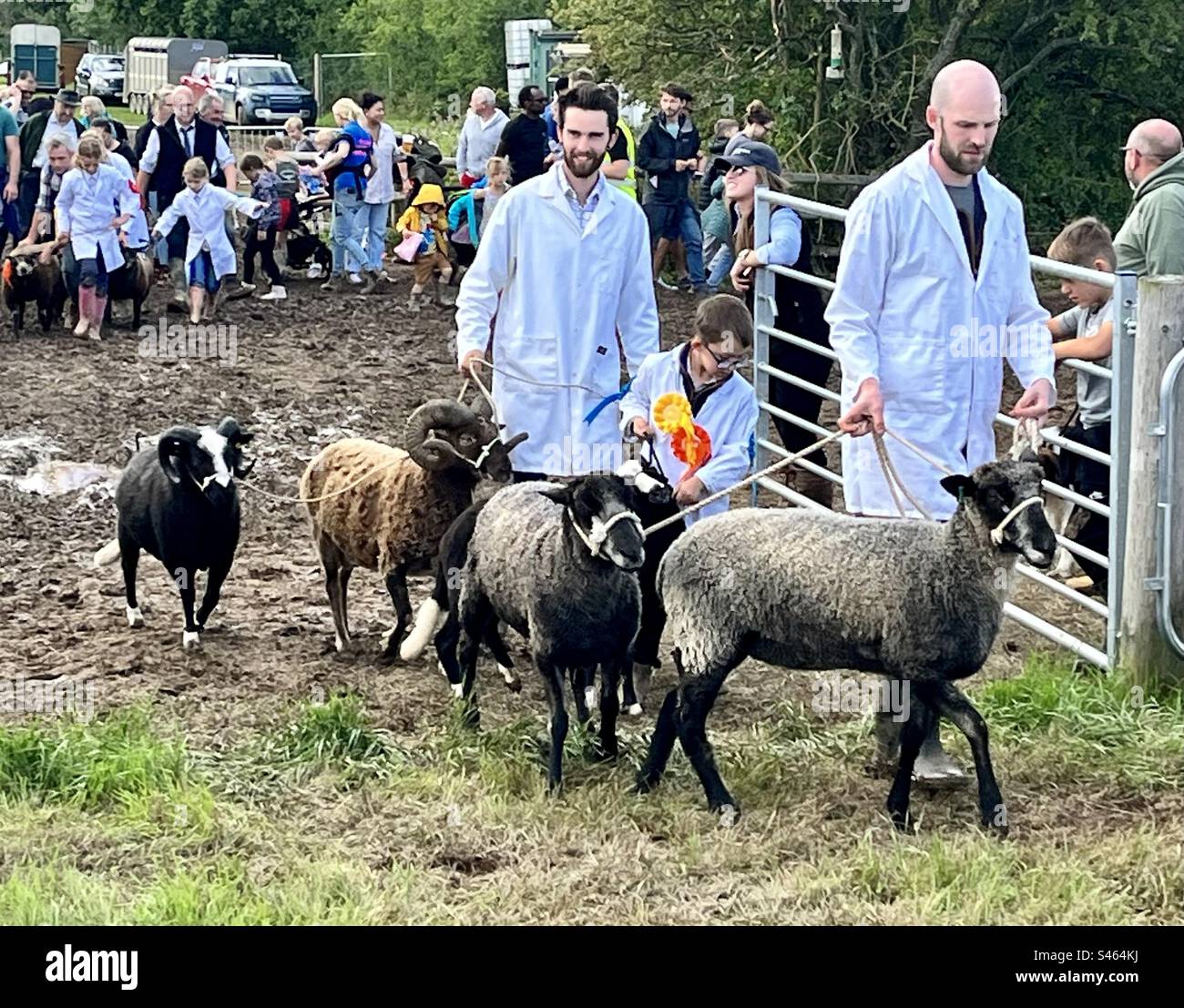 Grand parade at south glos show 2023 Stock Photo Alamy