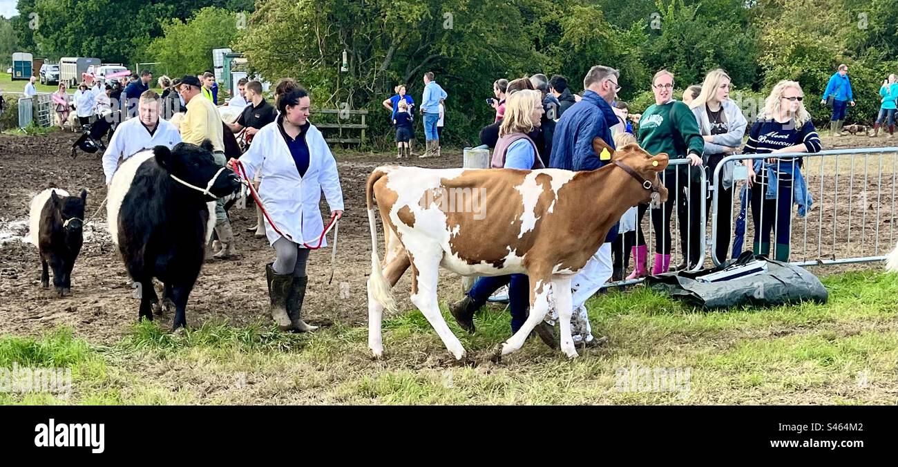 Grand parade at south glos show 2023 - Smartphone Captured Stock Image