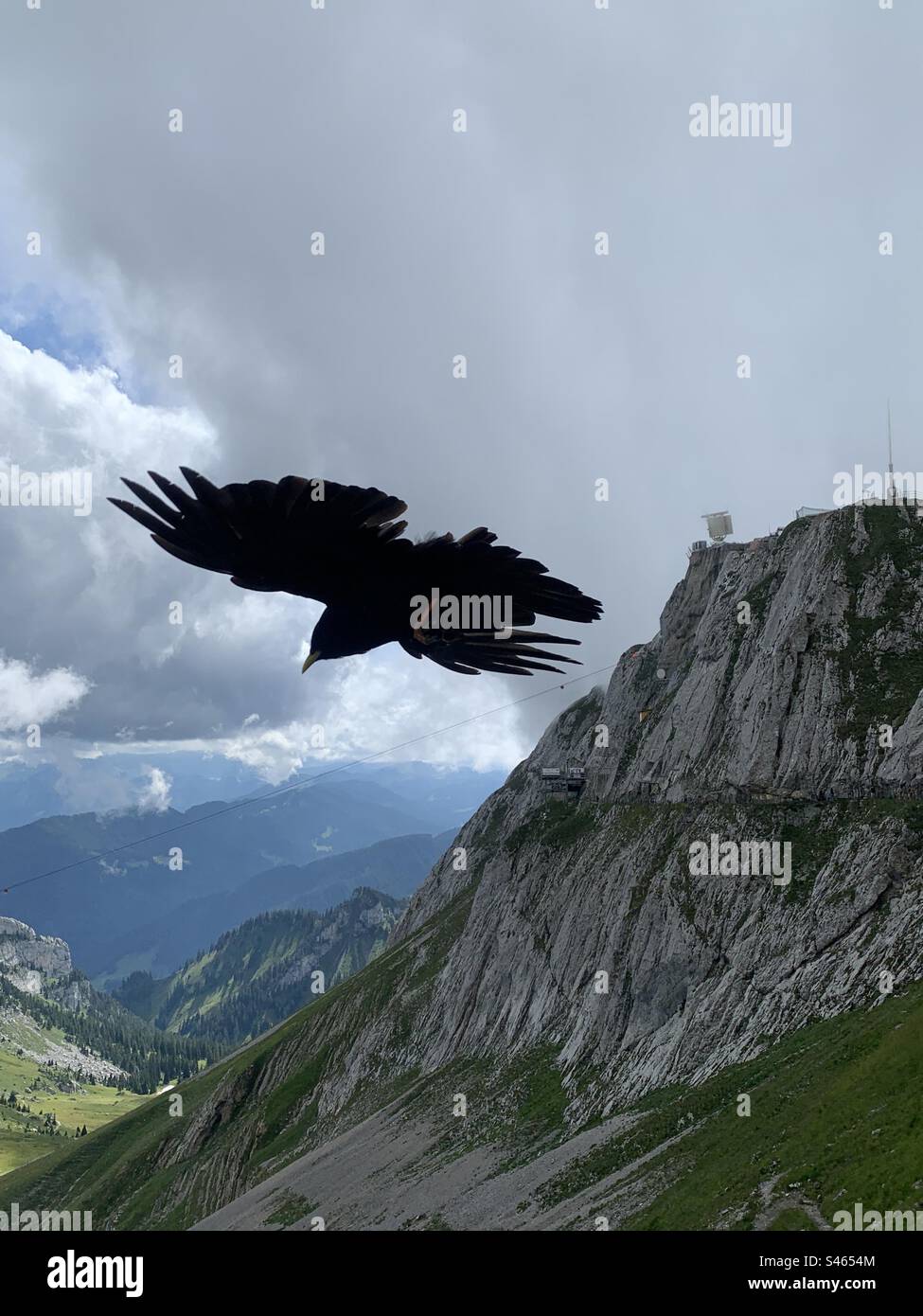 Bird flying above mount PILATUS Swiss alps Stock Photo