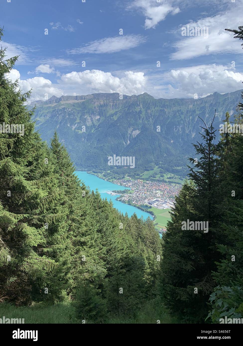 View of lake BRIENZ from harder kulm hike Stock Photo