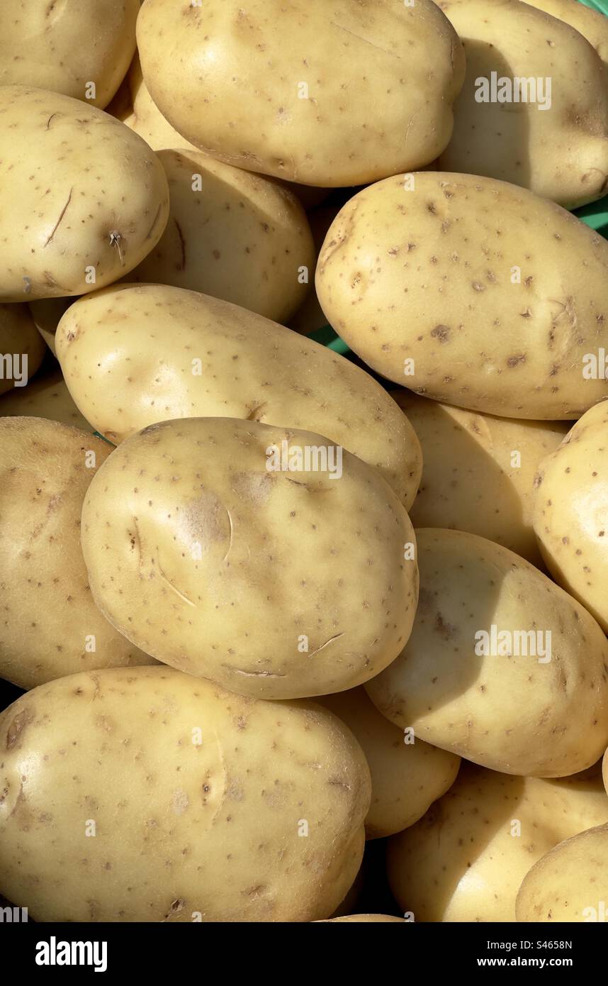Potatoes - Smartphone Captured Stock Image
