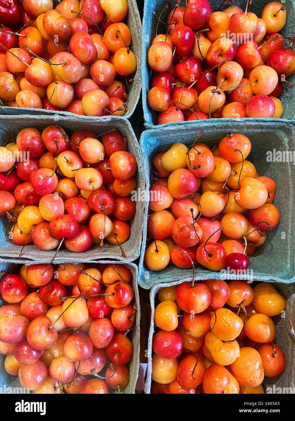 Close up of cartons of pink cherries for sale at a vegetable produce